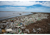Rác thải nhựa đại dương và những con số biết nói