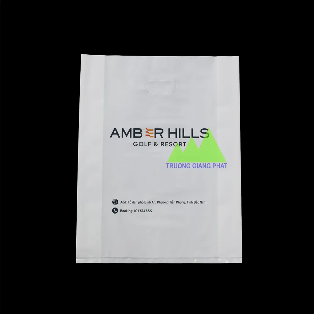 Túi hột xoài có in