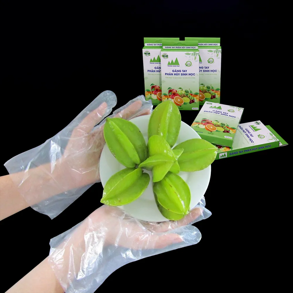 Găng tay chế biến thực phẩm