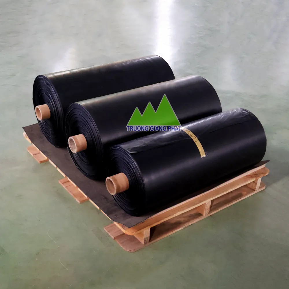 cuon-mang-nilon-den-03-large